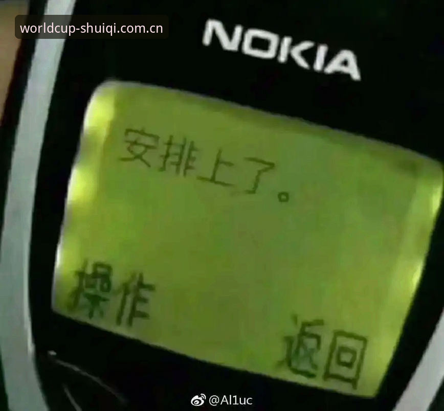 世界杯买球官网v3.1.2深度评测：注册安装失败问题的创新解决路径